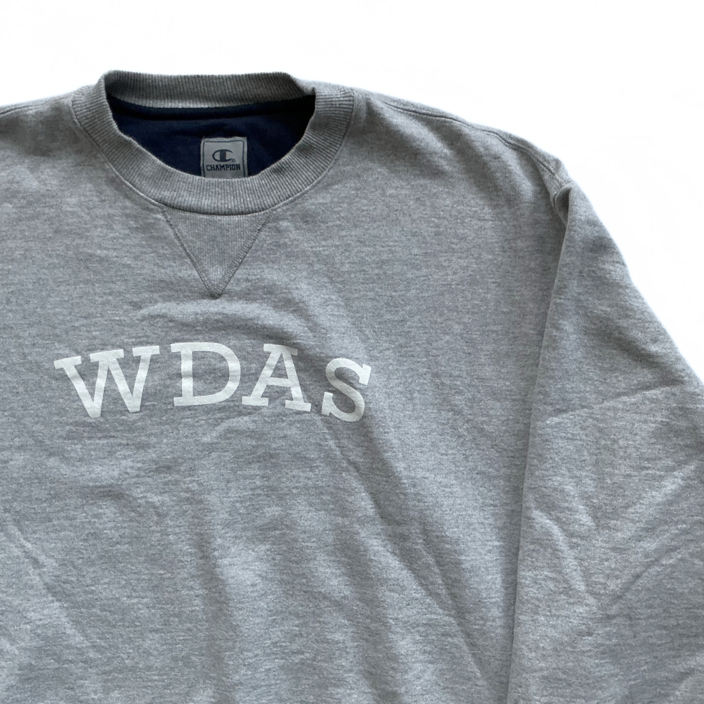 Champion / Walt Disney Animation Studios Sweatshirt in Marble Grey