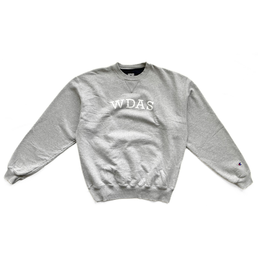 Champion / Walt Disney Animation Studios Sweatshirt in Marble Grey