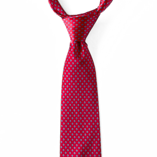 Stefano Ricci Dotted Floral Tie in Red / Blue / White