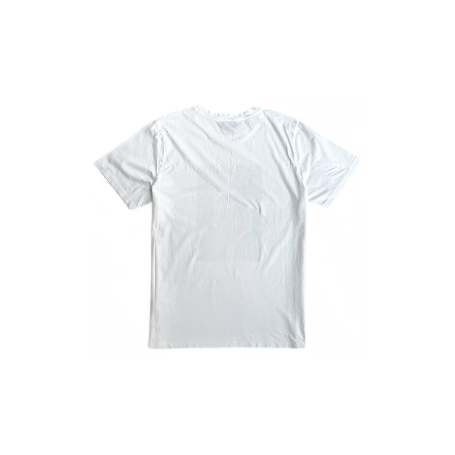 A.P.C. 2016 picture print t shirt