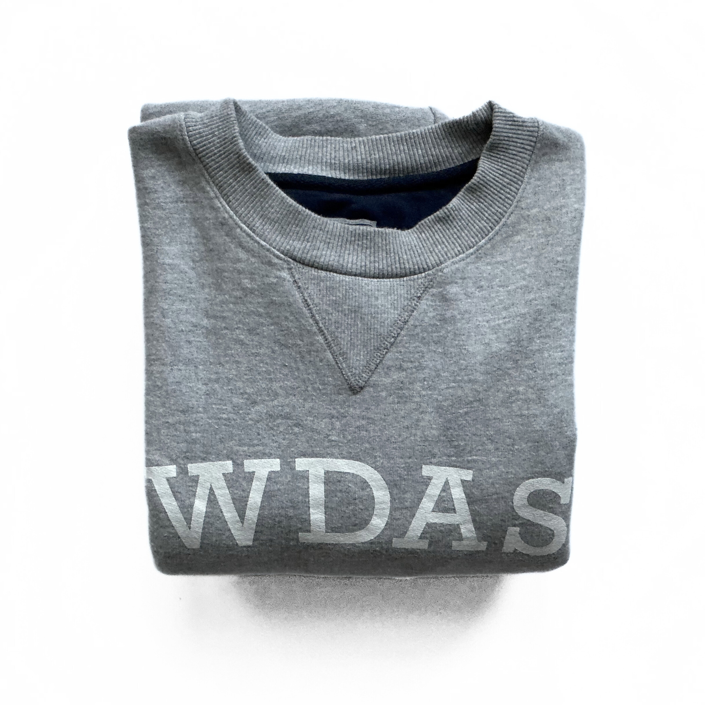 Champion / Walt Disney Animation Studios Sweatshirt in Marble Grey