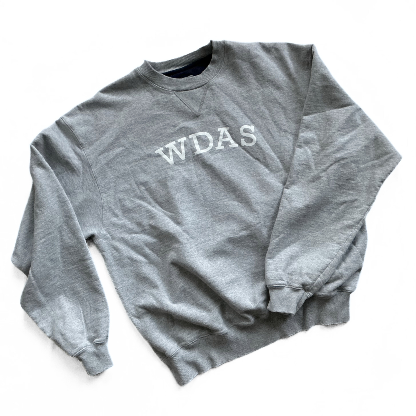 Champion / Walt Disney Animation Studios Sweatshirt in Marble Grey