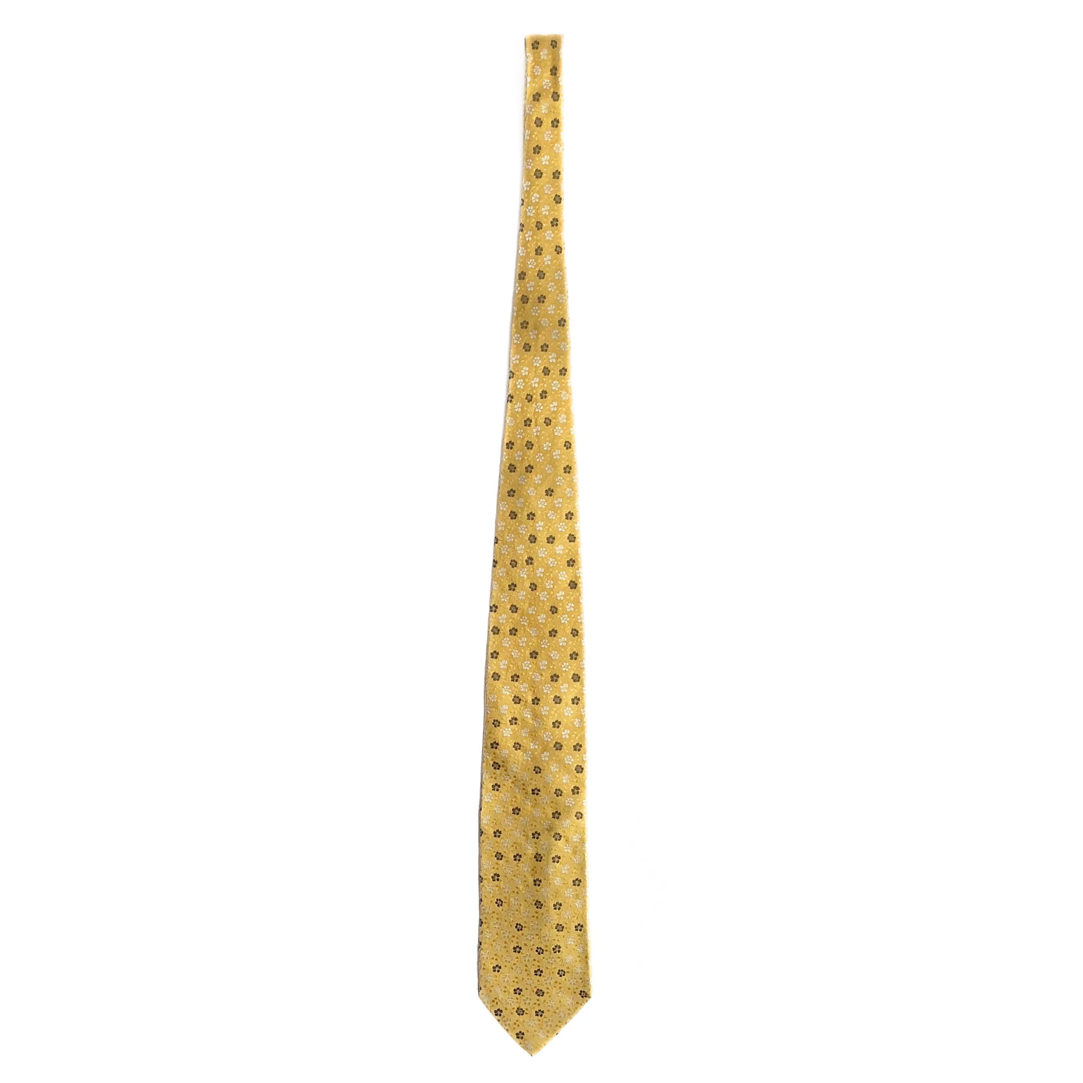Ermenegildo Zegna Tie in Yellow / Brown