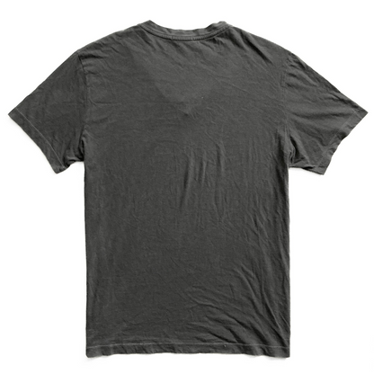 James Perse V Neck T-Shirt in Iron Grey